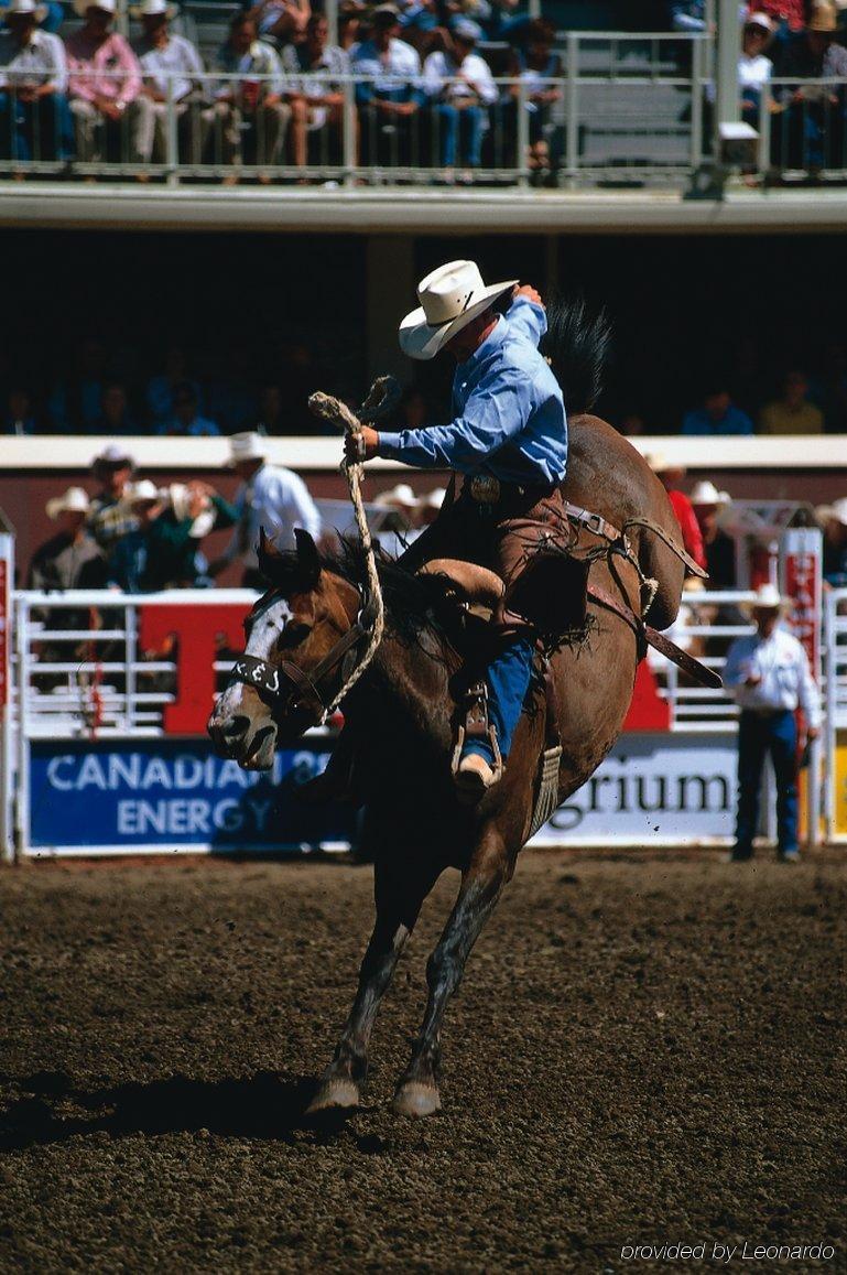 Travelodge Calgary Macleod Trail Esterno foto